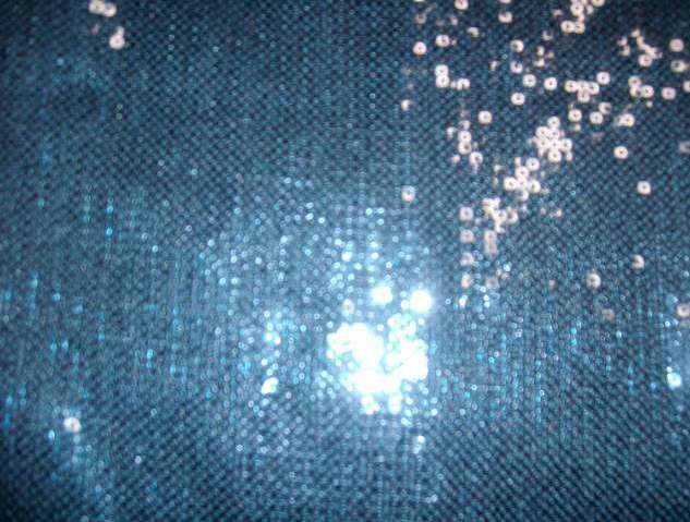 5.D.Royal Stage Line Sequins